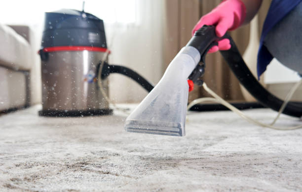 Restore Your Carpets with Expert Cleaning